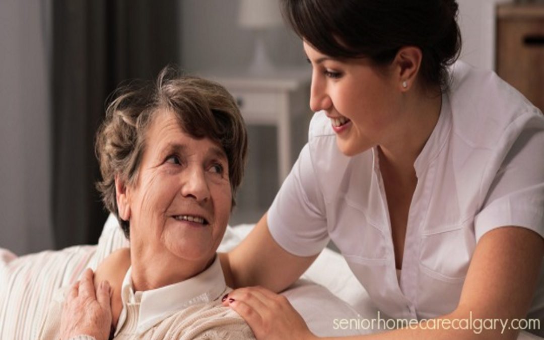 Homecare for Seniors – Choosing an Agency vs. Hiring Privately